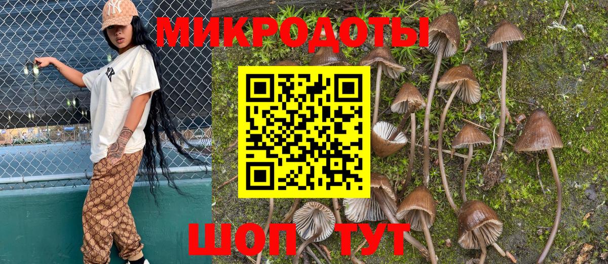 Новый Уренгой  наркота  Вход с VPN  Галлюциногенные грибы мицелий 