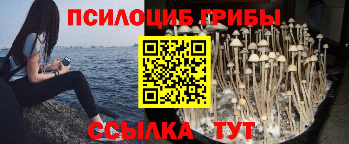 Псилоцибиновые грибы ЛСД Новый Уренгой